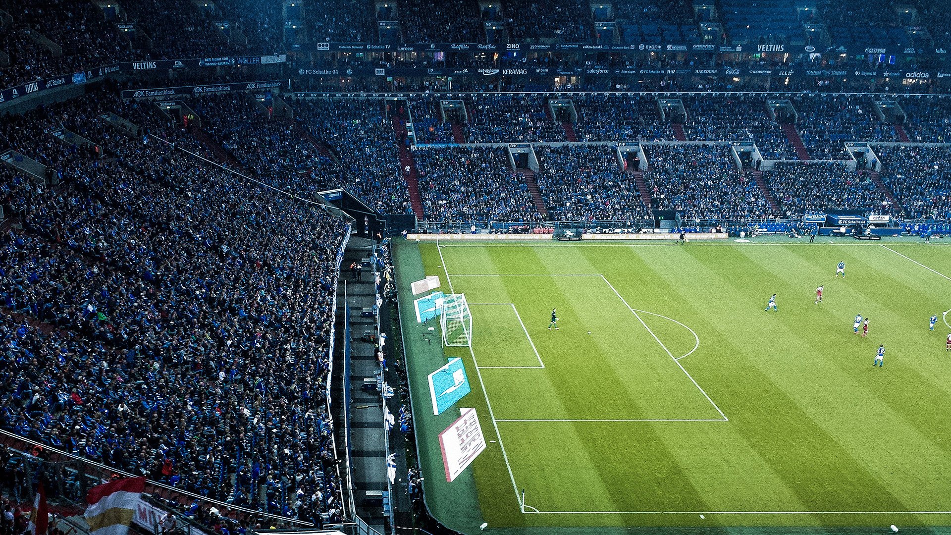 冰封北境，灰熊铁血防守如何将猛龙拖入抢七绝境